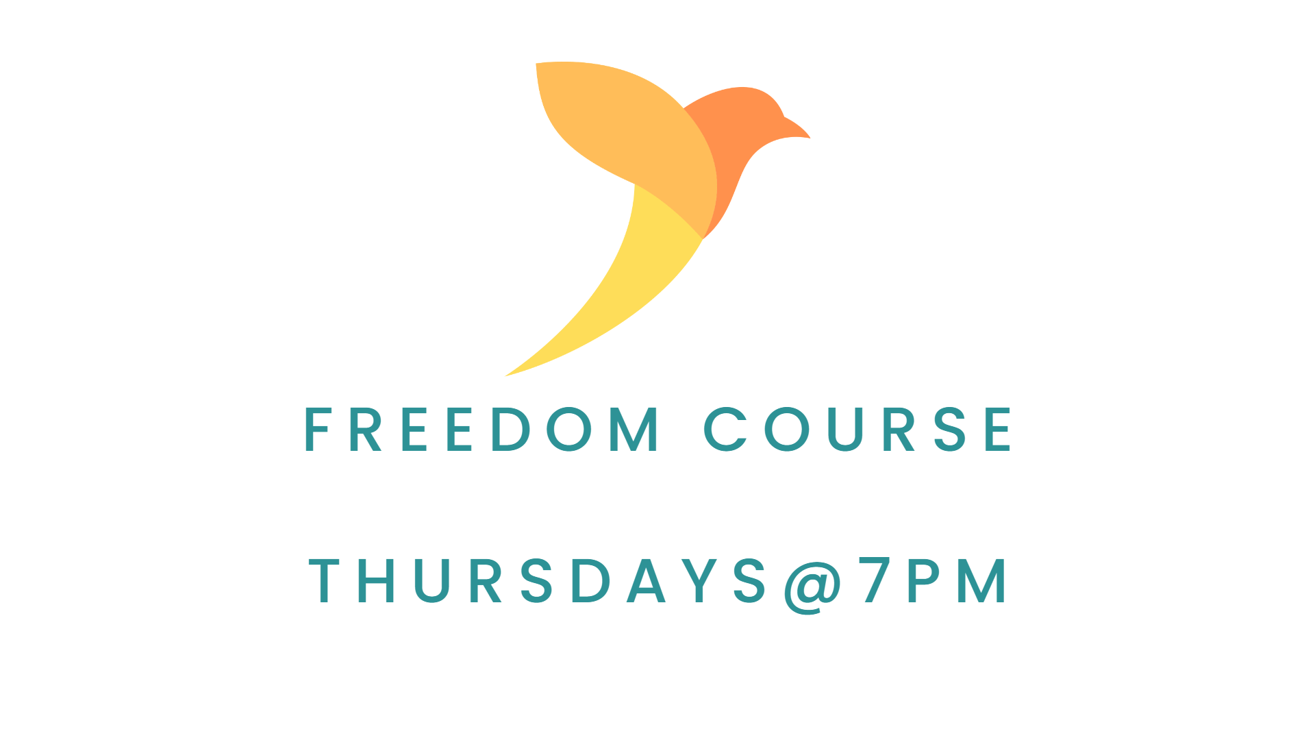 Freedom Class Slide